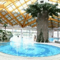 Terme Ilid�a - a legnagyobb term�lv�z� f�rd�